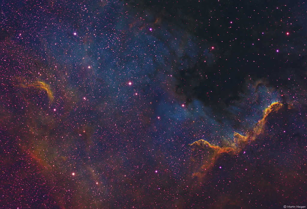 Natürliche Raumdüfte ohne Chemie: Diffuser, Kräuter & Tipps